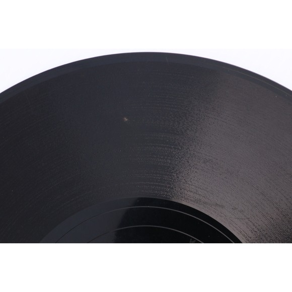 The Rice Brothers Gang – Railroad Boomer/ Do You 1941 10" 78 rpm Record Decca - Picture 4 of 8